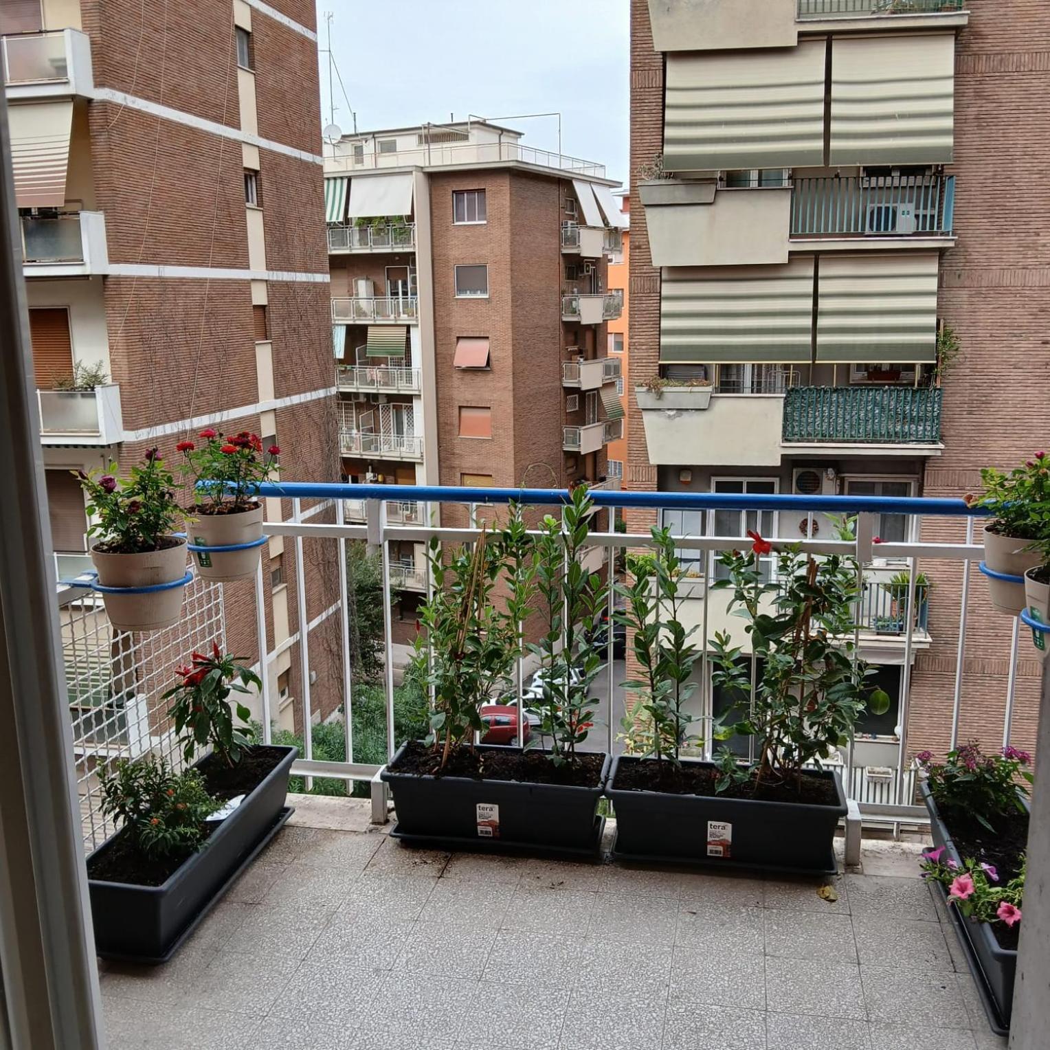 Appartamento Grand Nomentana Roma Esterno foto